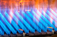 Little Cowarne gas fired boilers